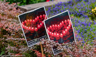   Solingen Menschen legen zum Gedenken an die Opfer Blumen nieder.